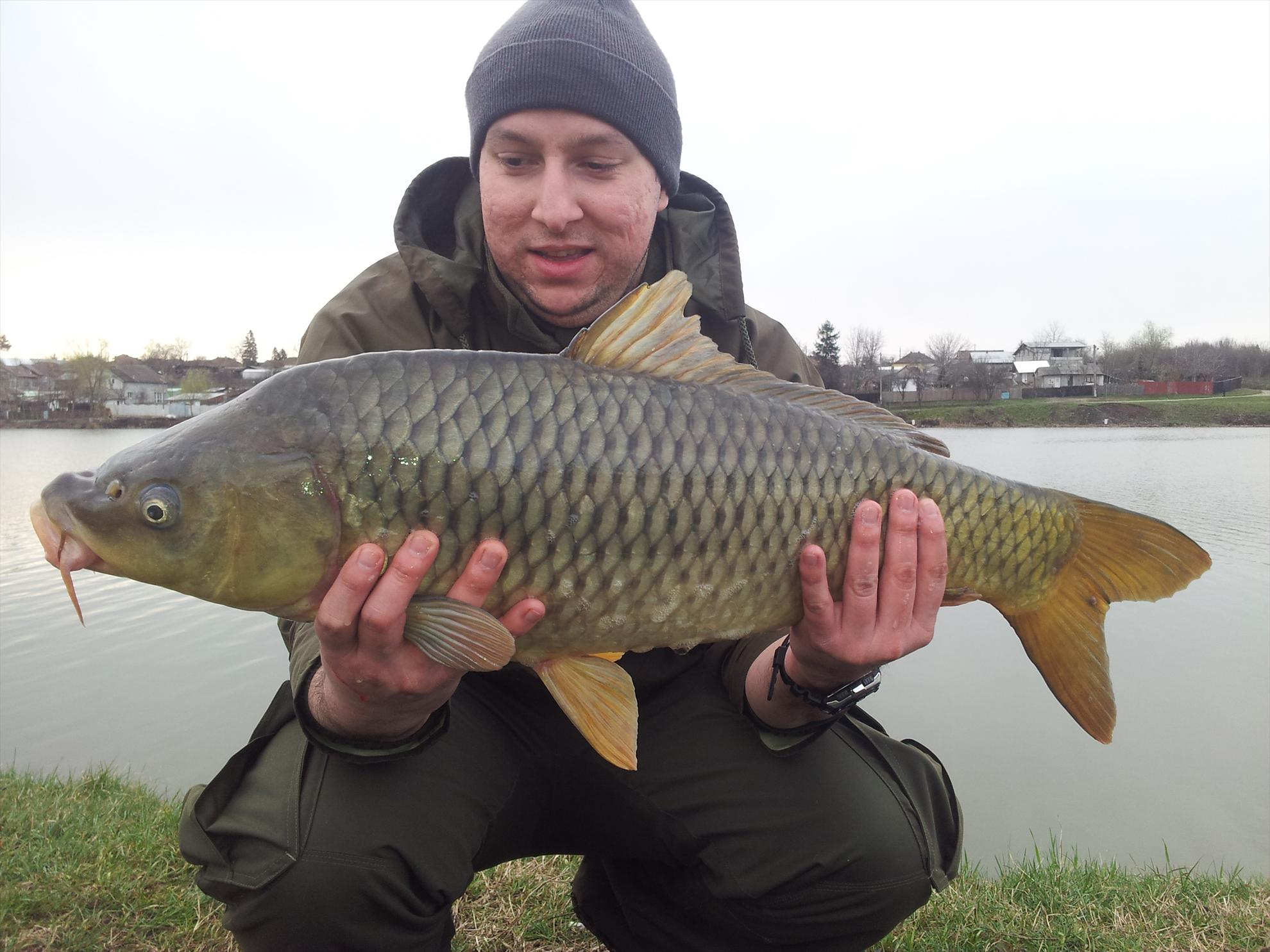 Moara Vlasiei 2 23 - 23 mar.